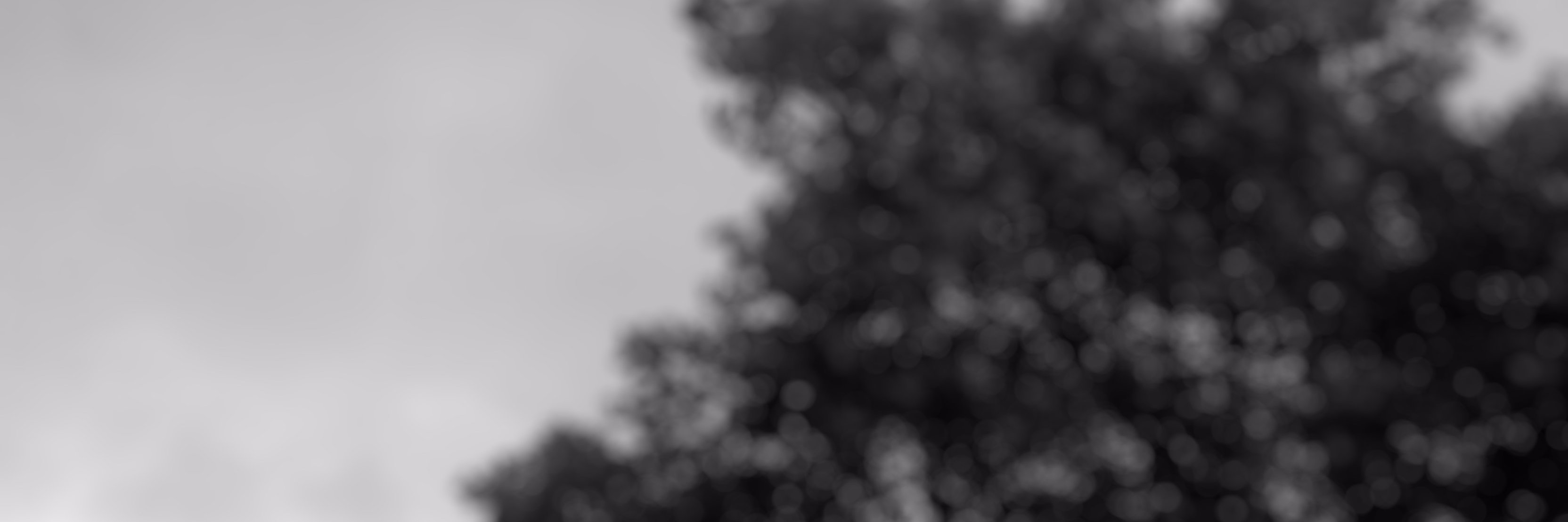 zammyguy's profile banner image