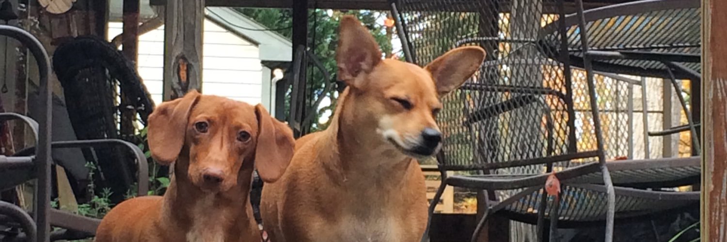 2corndogsmcgee's profile banner image