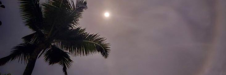1010nil's profile banner image