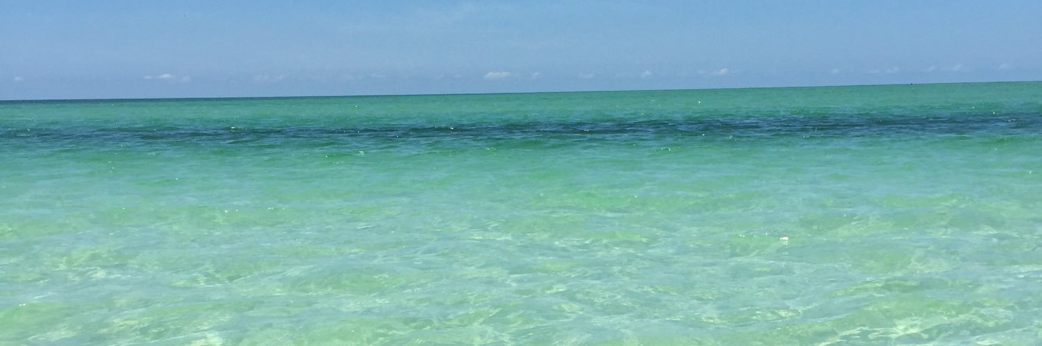 TXBeachBlond's profile banner image