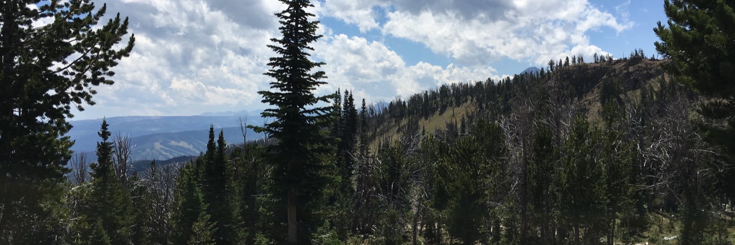 HeidiClendening's profile banner image