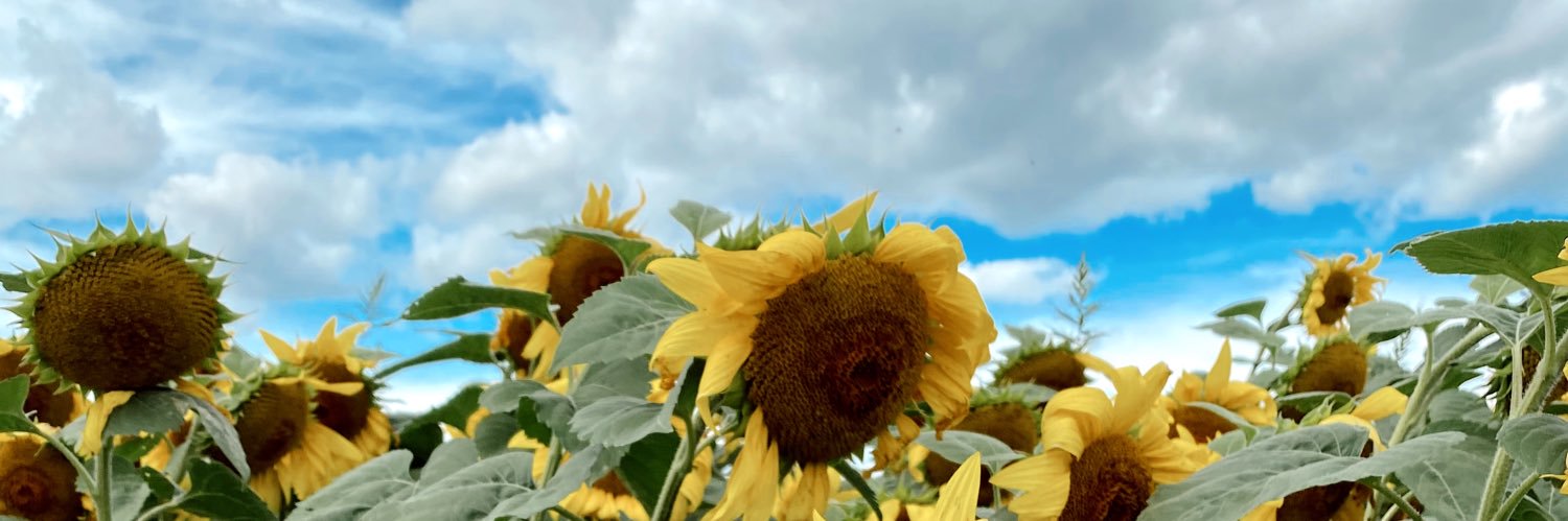 nbeex3's profile banner image