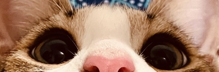 Lunliz's profile banner image