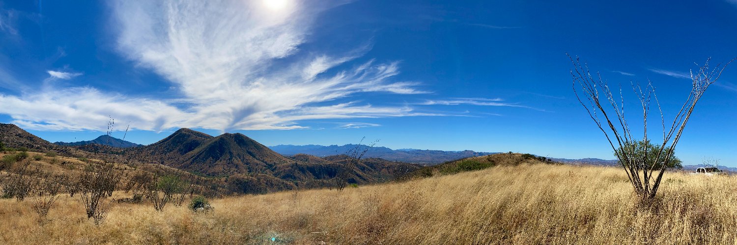 Lindsey Botts banner