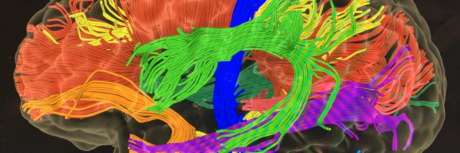 mcCneuro91's profile banner image