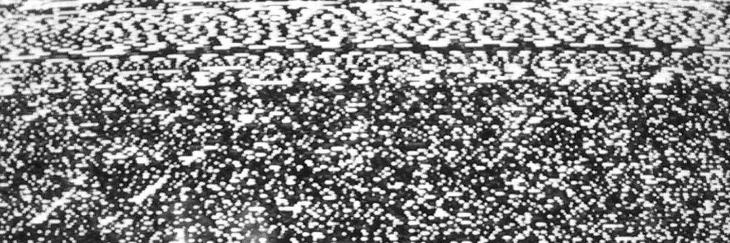 NTS Radio's banner