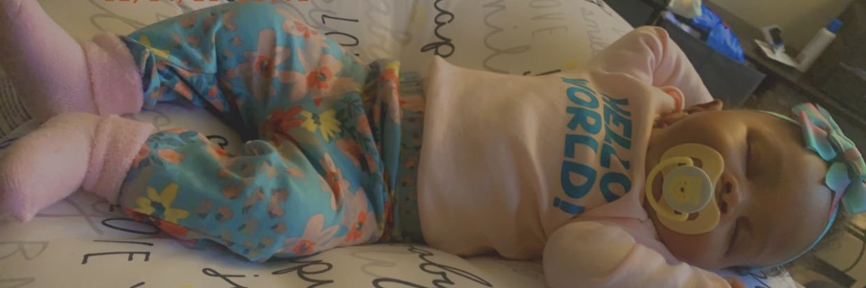 Marilyn Monrollup banner