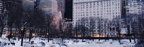 DovnHelf's profile banner image