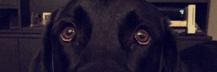 NateSnoekLIVE's profile banner image