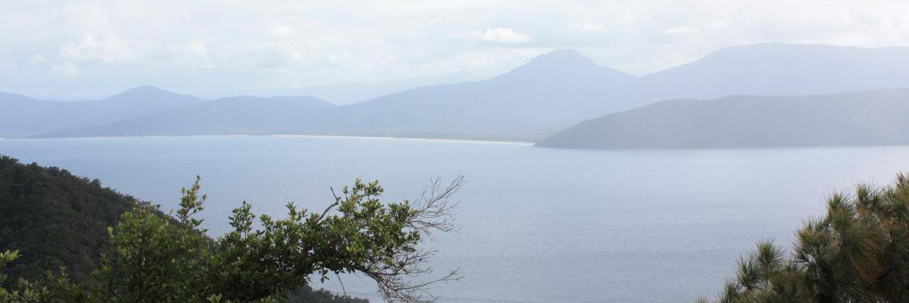 Sofie Van Tendeloo banner