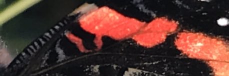 afc3011's profile banner image