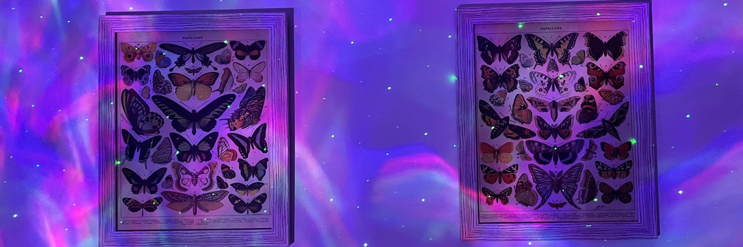 melissastarrrr's profile banner image