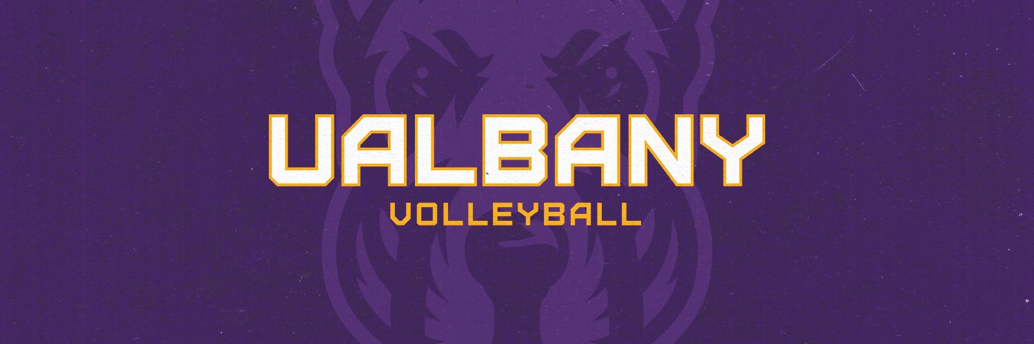 UAlbany Volleyball banner