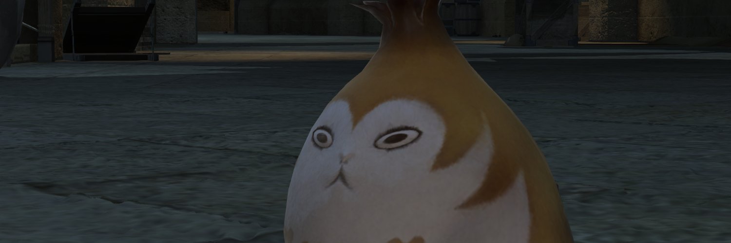 elezens's profile banner image