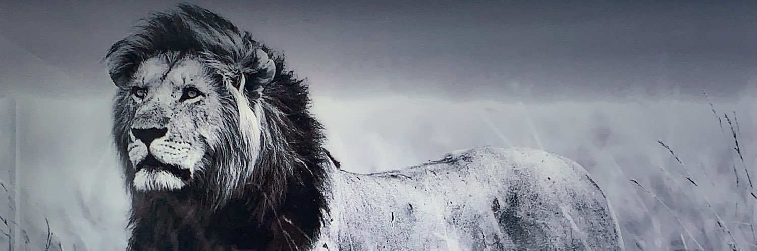 x_CK_x's profile banner image