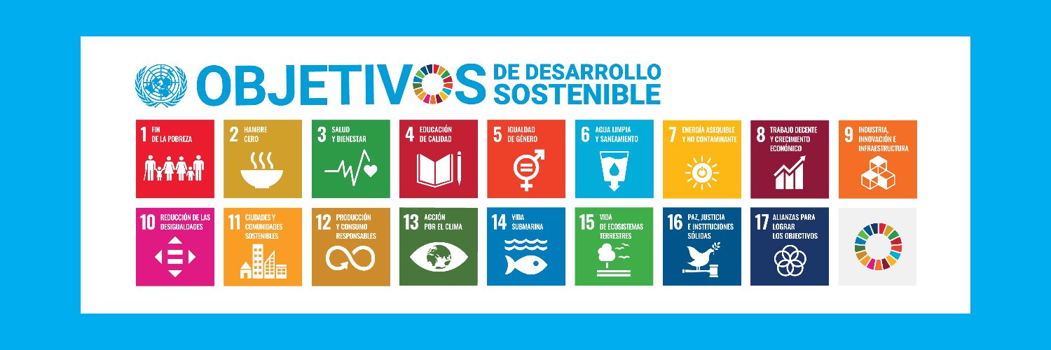 ONU Desarrollo's banner