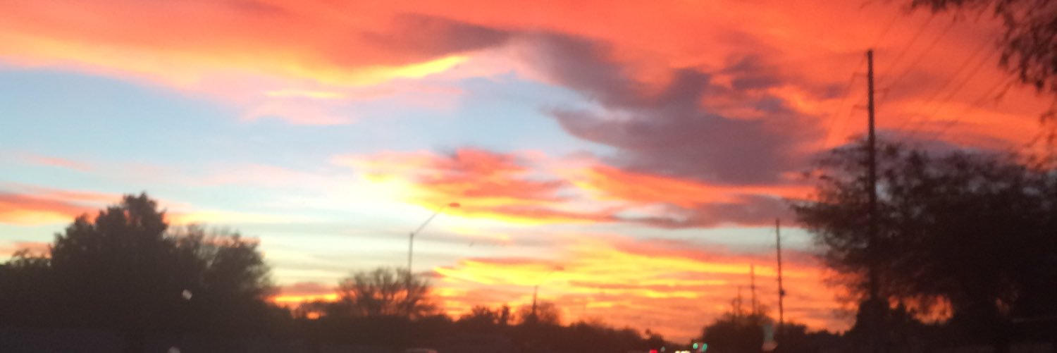 Indu Narayanan banner