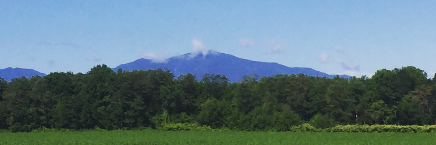 森田匡彦 banner