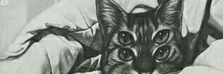 Ppriisi's profile banner image