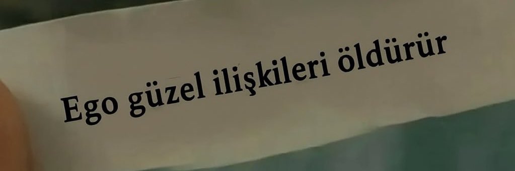 lilyofthvally's profile banner image