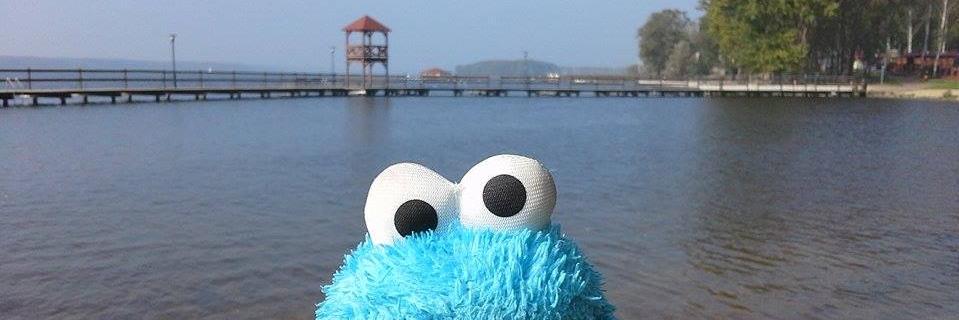 Łukasz Politowski banner