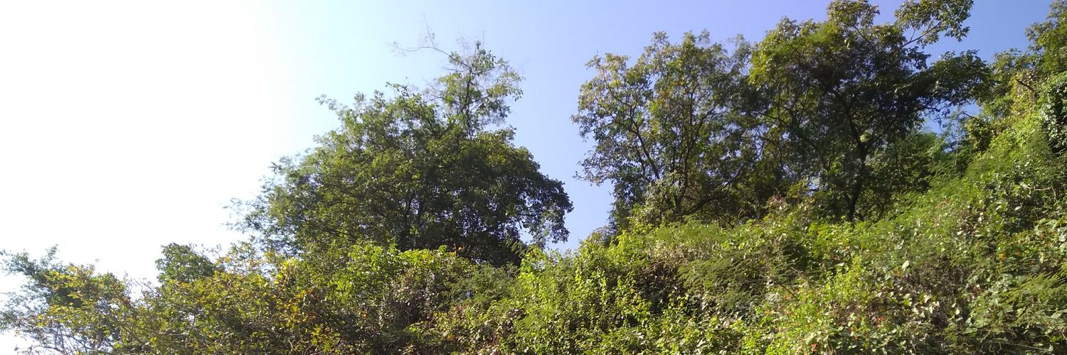 absharma9's profile banner image