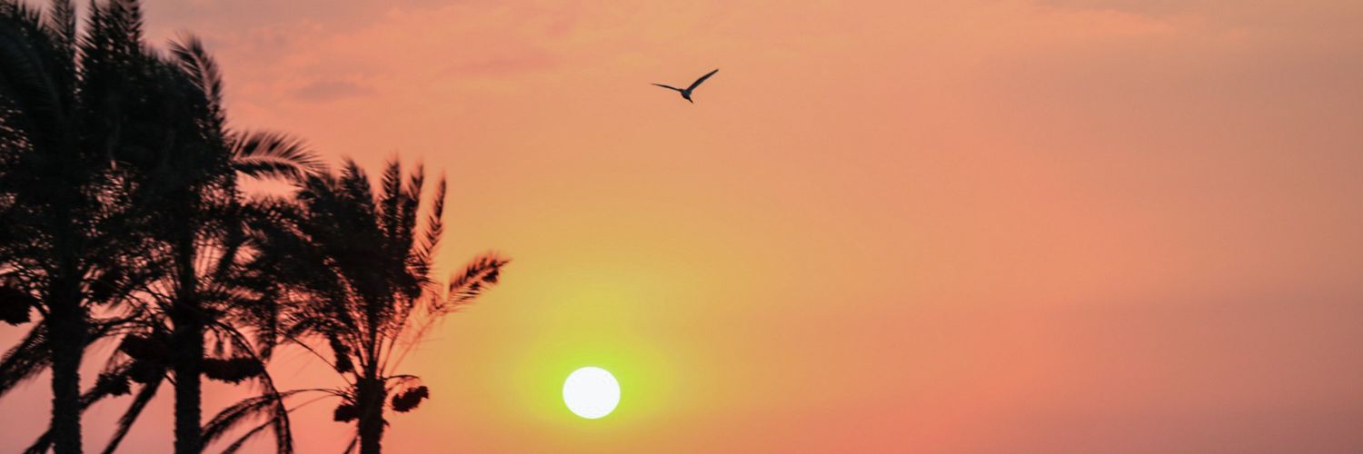 Islamoz's profile banner image