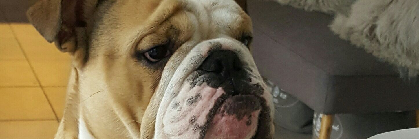 madsbaz's profile banner image