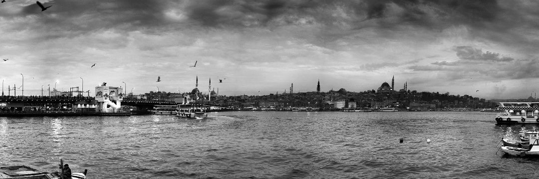 __neslihann's profile banner image