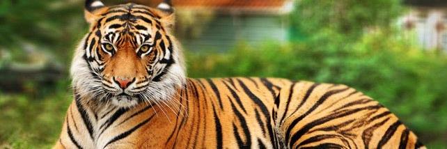 kat_ranee's profile banner image