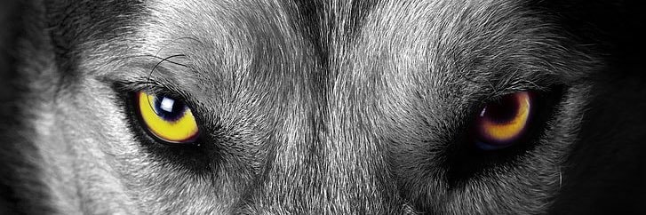 RifatSen's profile banner image