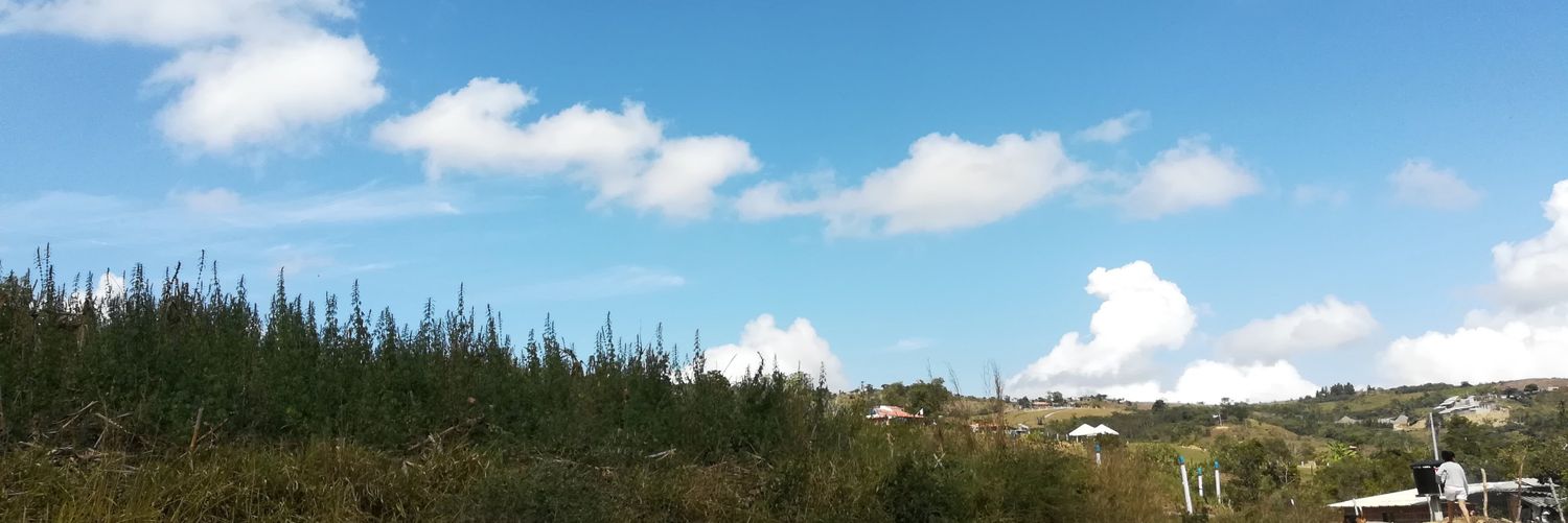 erikahig04's profile banner image