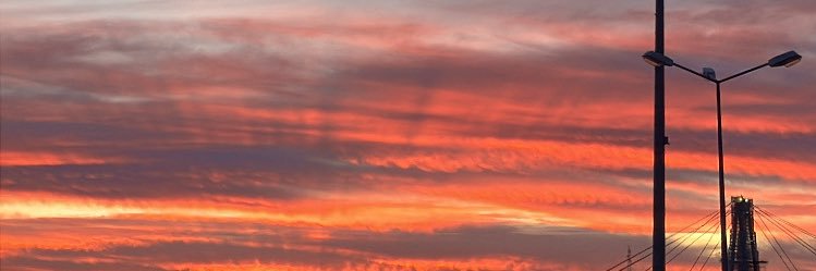 inessazul's profile banner image