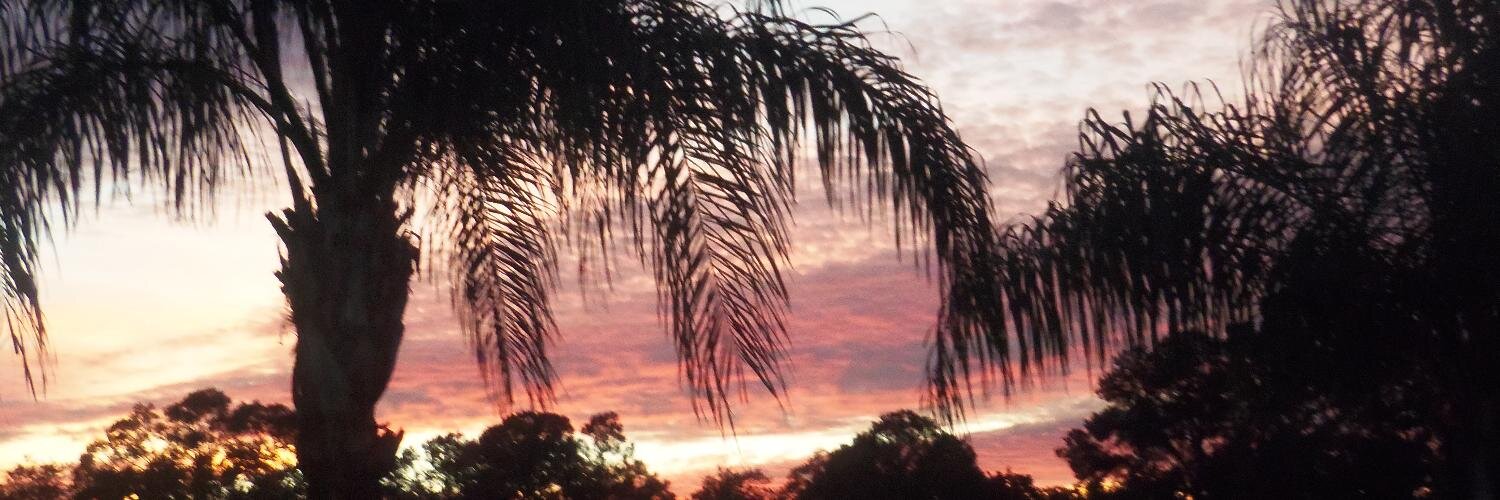theytookit_sn's profile banner image