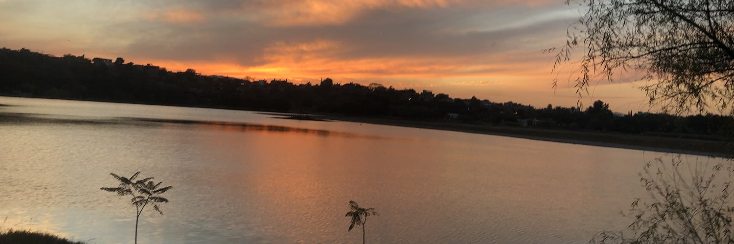 lilibethkmargo's profile banner image