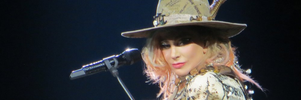 michelle banner