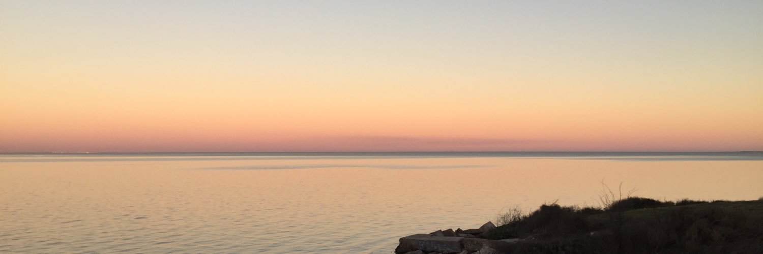 AdoptomomLeigh's profile banner image