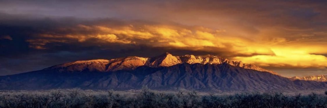 marcyfierro's profile banner image