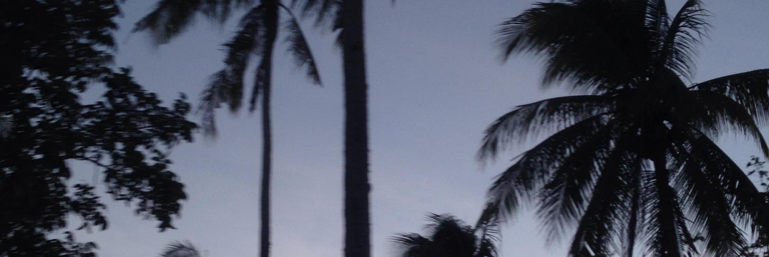 SmxkeMatthew's profile banner image