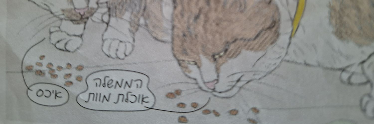 עדי אנגרט banner