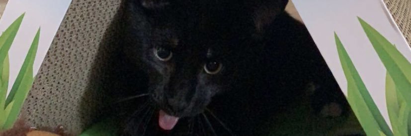 kleon_12's profile banner image