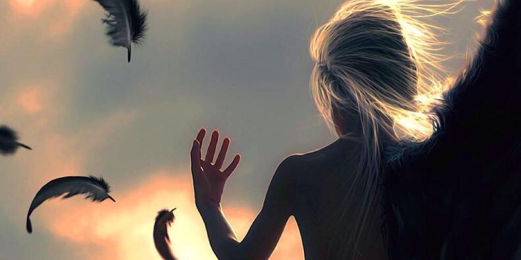 Mapeandoo's profile banner image