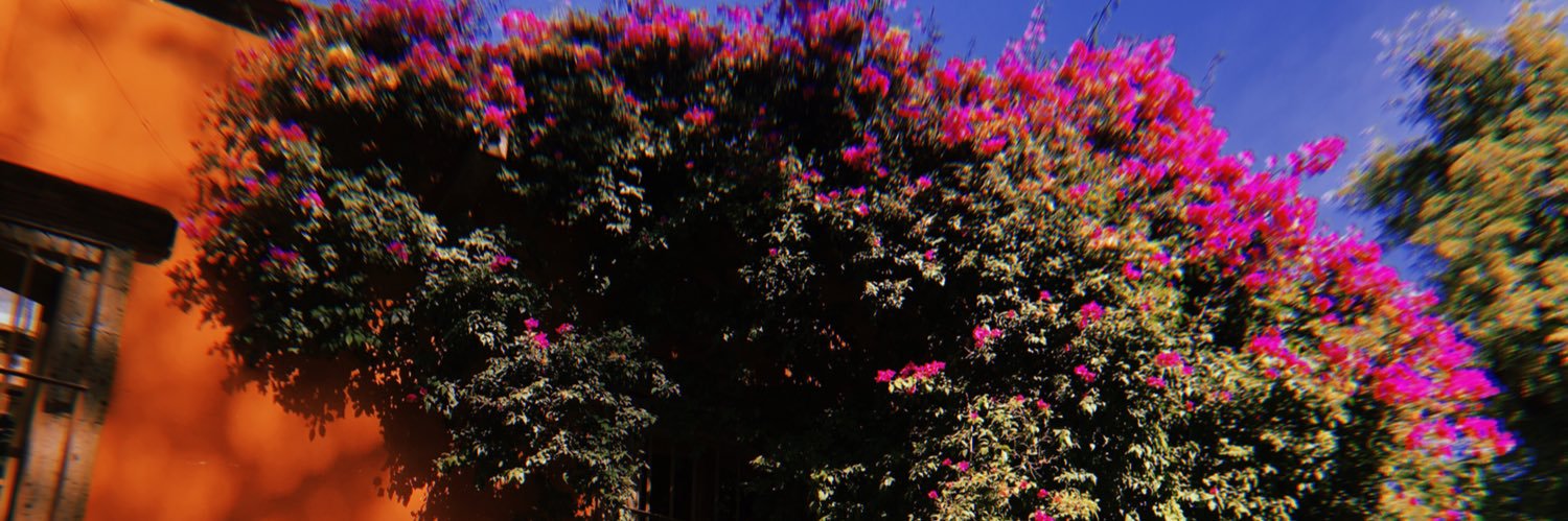 _klaugalez's profile banner image