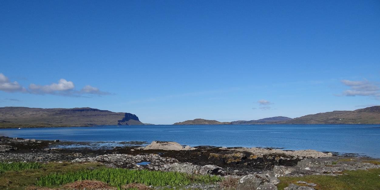 Carrie Wright banner