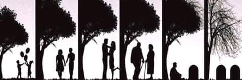 arthursanchezC7's profile banner image