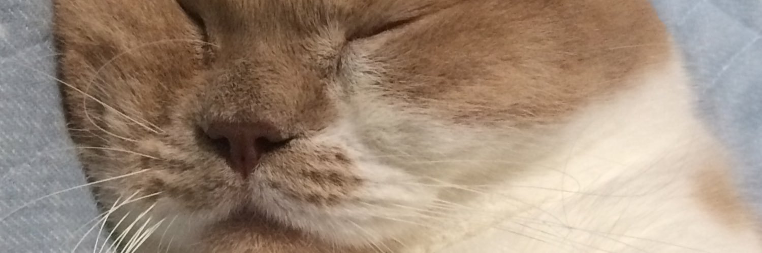 AlRexsas's profile banner image
