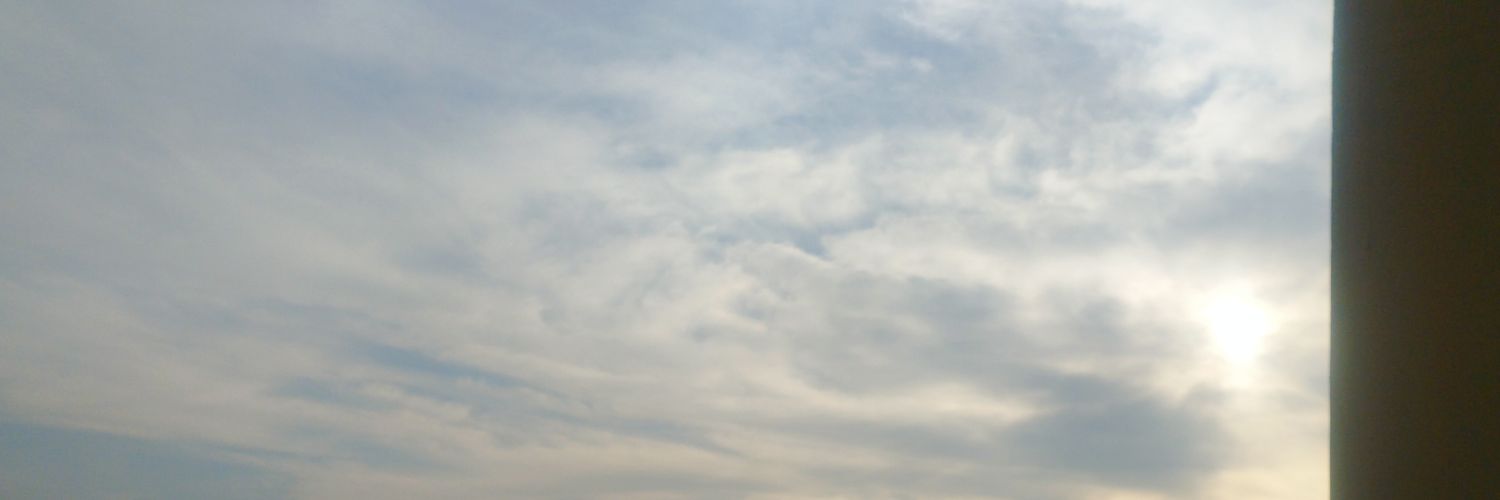 sweett_moni's profile banner image