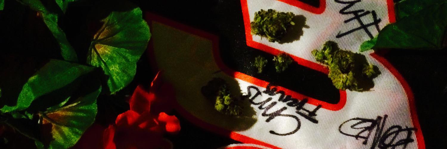 Lenoliam77's profile banner image