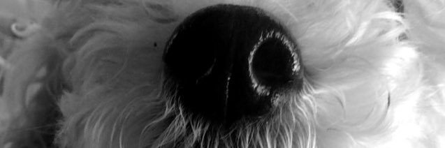 alsg98's profile banner image