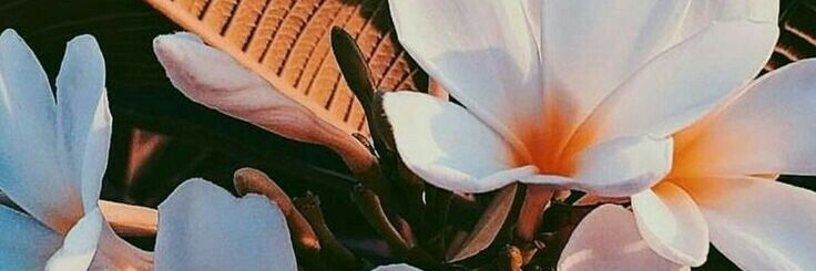 requdreaim's profile banner image